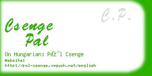 csenge pal business card